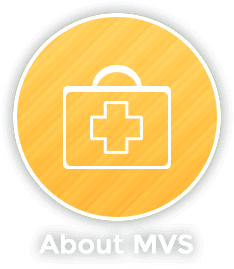 Madison Veterinary Specialists - About MVS