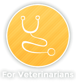 Madison Veterinary Specialists - For Veterinarians