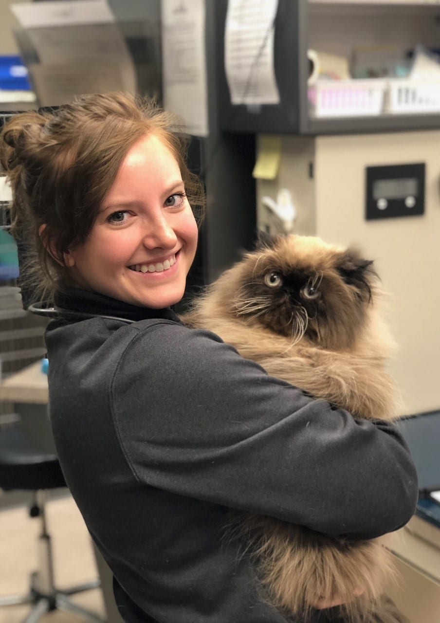 Emergency Madison Veterinary Specialists