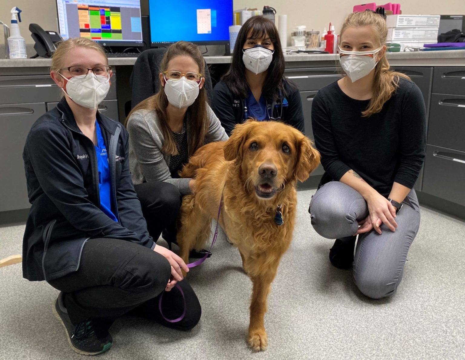 Oncology Madison Veterinary Specialists