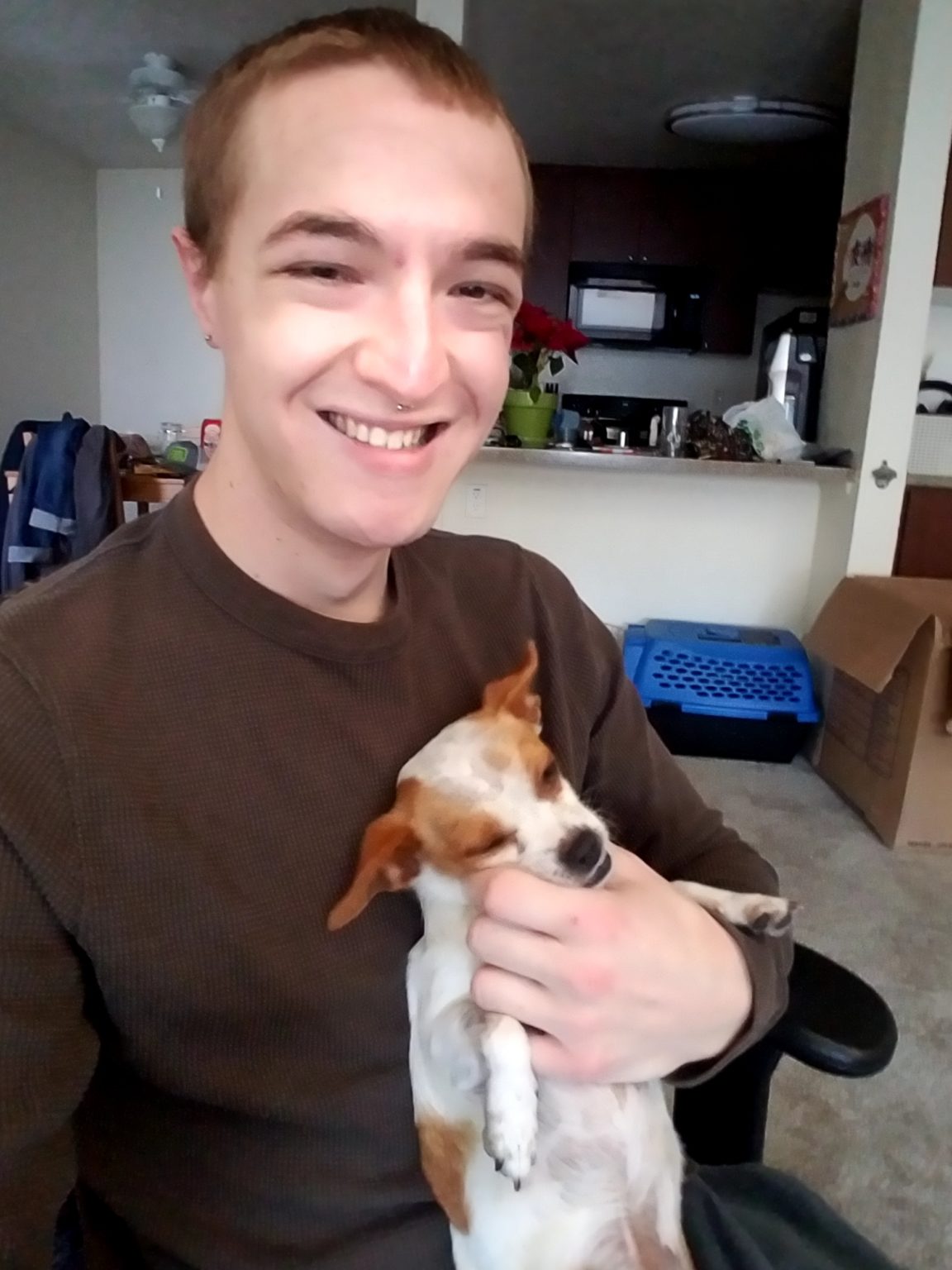 Emergency Madison Veterinary Specialists