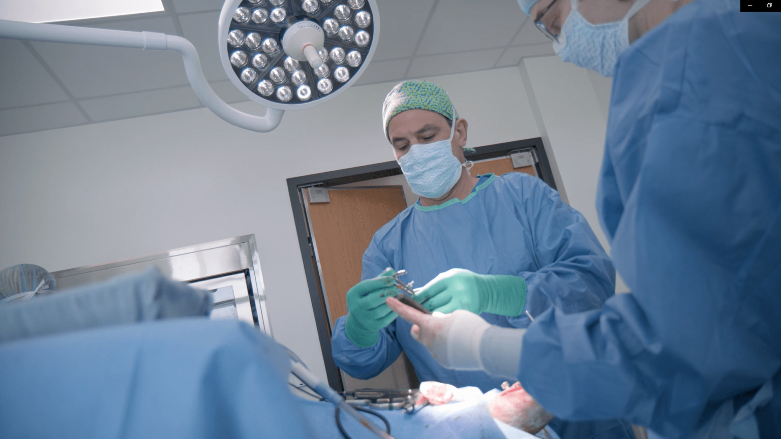 Surgery Madison Veterinary Specialists