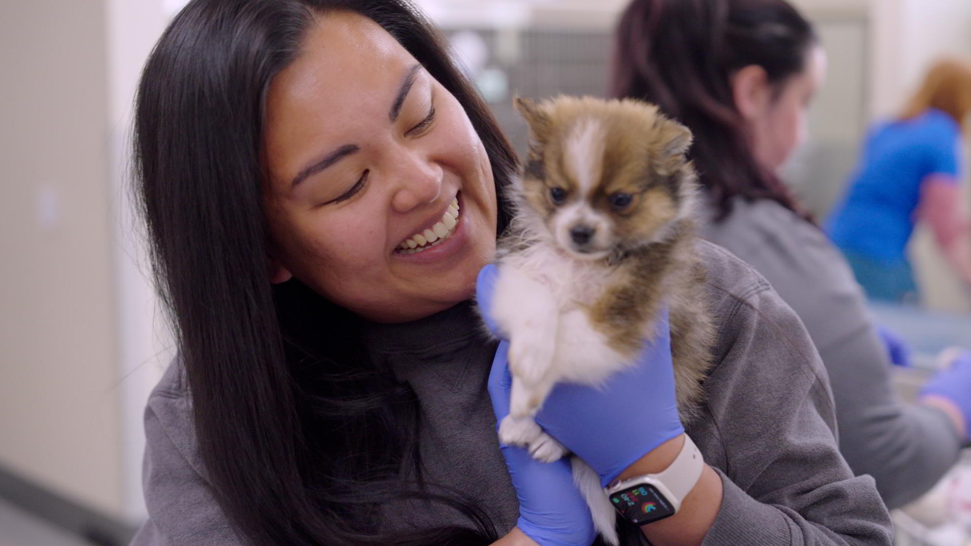 Vet tech with puppy