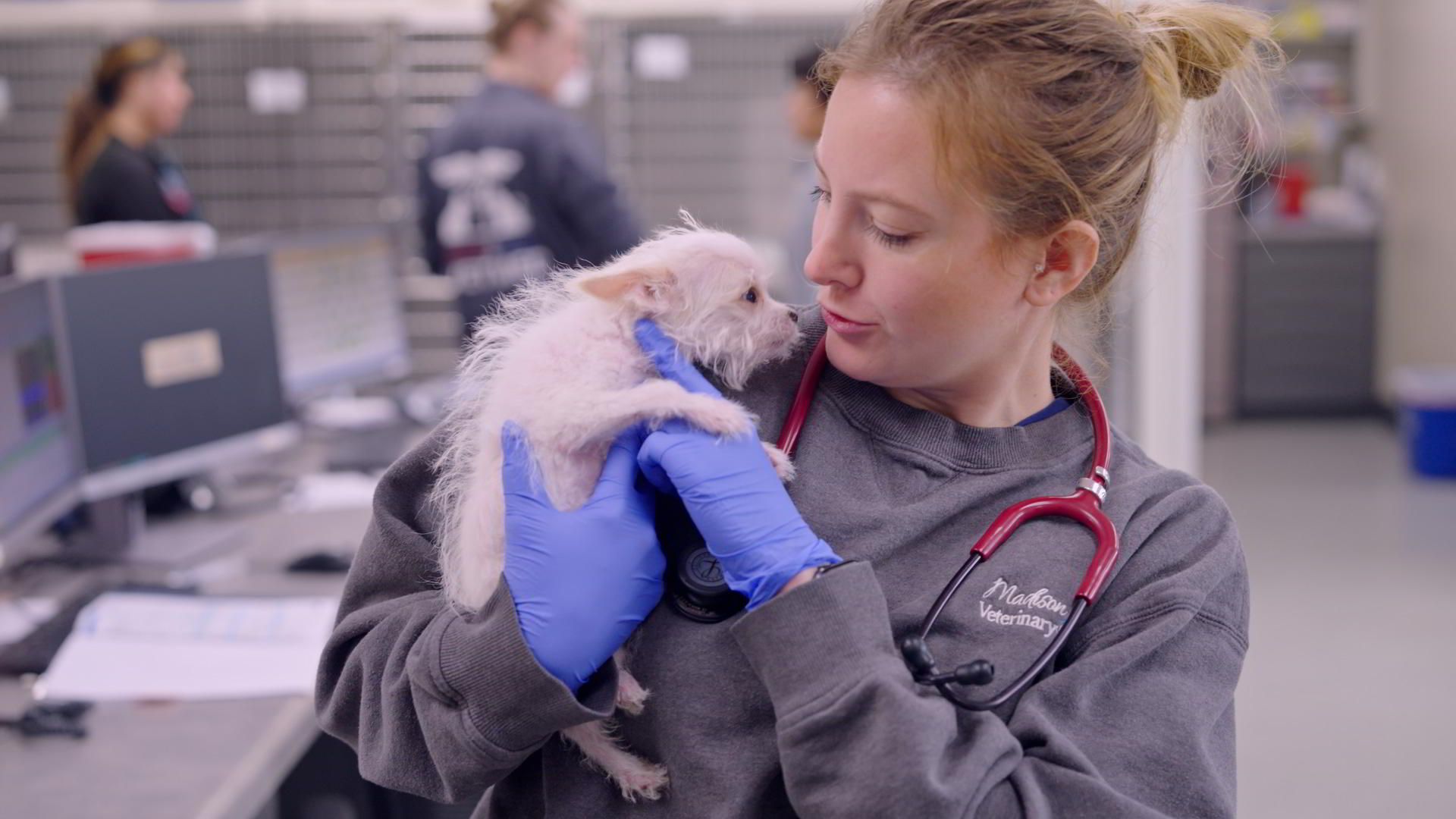 Vet tech with small dog