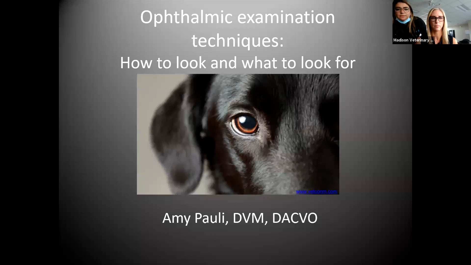 Ophthalmic Examination Techniques: How To Look & What To Look For
